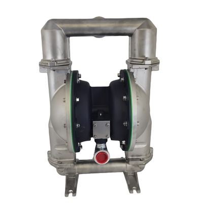 Widely Applied High Efficiency 2-11 BSP Straight Teeth 2 Inch Stainless Steel Pump