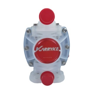 High Quality 1/4'' Aro Non-Metallic PD01P Industry Air-operated Double Diaphragm Pumps AODD Pneumatic Pumps